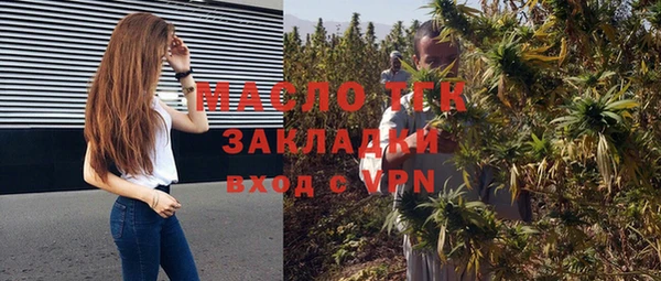 амф Бородино