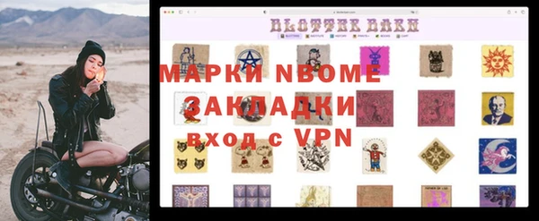амф Бородино