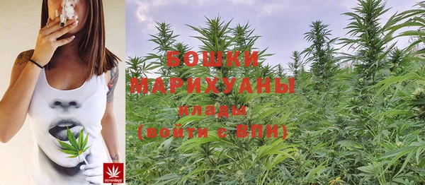 прущие крисы Бугульма