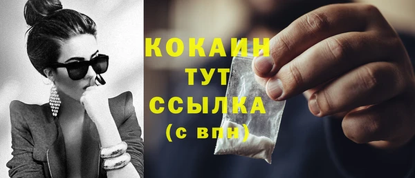 амф Бородино