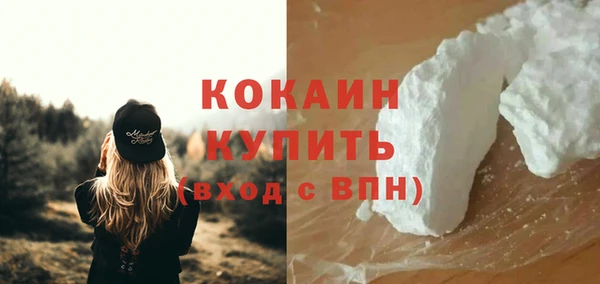 амф Бородино