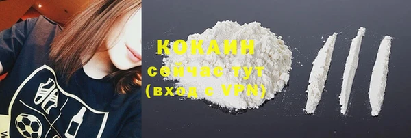 амф Бородино