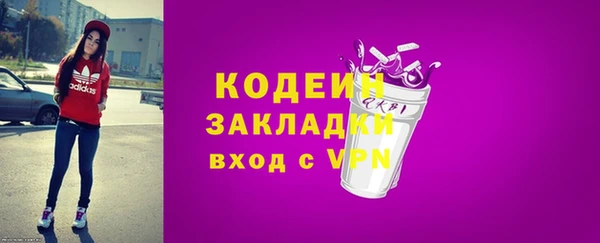 амф Бородино