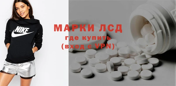 амф Бородино