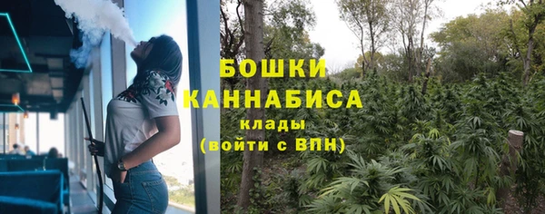ешки Бронницы