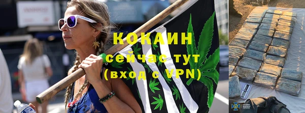 амф Бородино