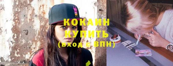 ешки Бронницы