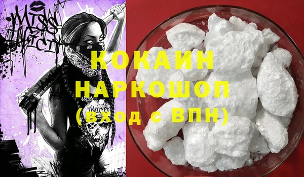 ешки Бронницы