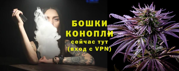 амф Бородино