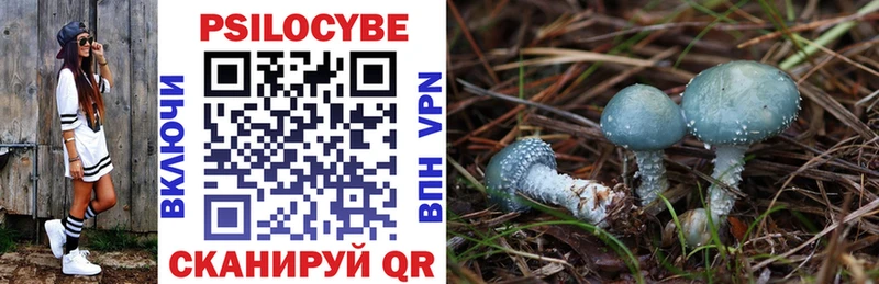 Псилоцибиновые грибы прущие грибы Алдан