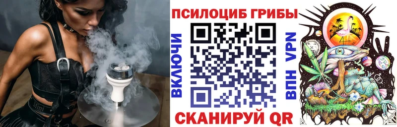 Псилоцибиновые грибы Cubensis  Купить где  Алдан 